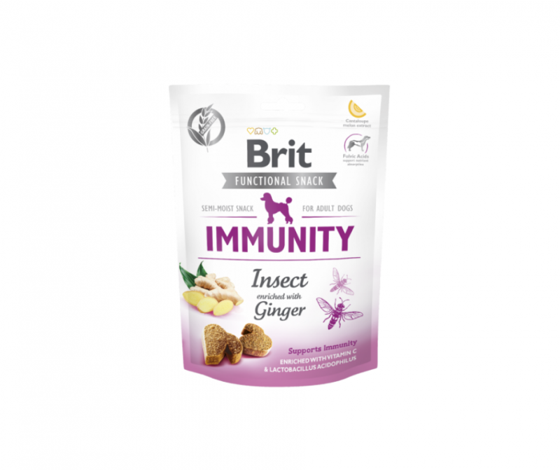 brit immunity insect enriched with ginger przysmaki dla shih tzu